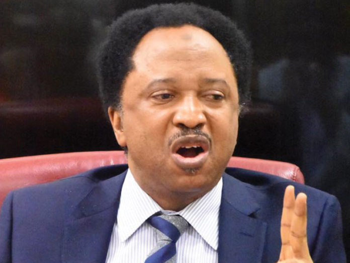 Senator Shehu Sani